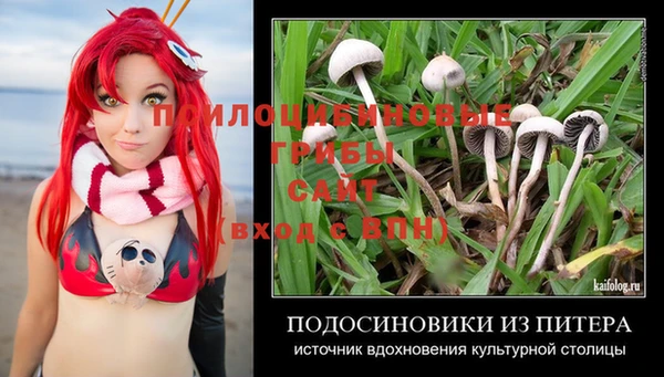 спайс Балахна